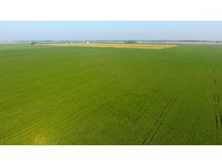 Property photo 13 - LAND AUCTION - 359+/- ACRES IN 2 FARMS IN EAST ALLEN CO., INDIANA & PAULDING CO., OHIO